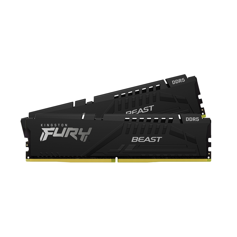 Kingston Fury Beast DDR5-5600 16GB