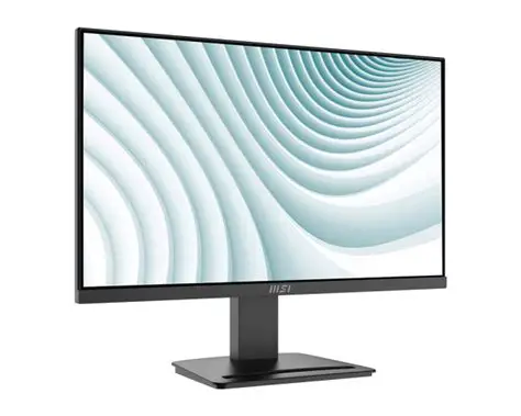 MSI PRO MP2412