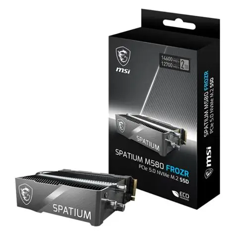 MSI Spatium M580 FROZR 2TB