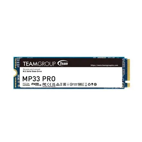 TeamGroup MP33 512GB